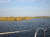 Marshes of Blackwater Creek