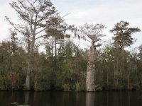 Waccamaw River Anchorage