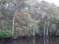 Wild life reserve