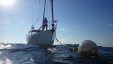 Moored in Biscayne park