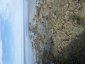 Shore Rocks