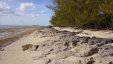 Island Shore Crab Cay