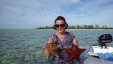 Proud Find Seastar