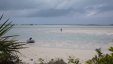 Walking Beach at Low Tide