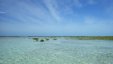 Shroud Cay Shallow Water 2