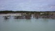 Hawkbill Cay