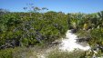 Cambridge Cay Path