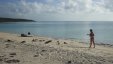 Feeding Iguanas