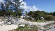 Driftwood Garden of Eaden