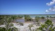 Salt Pond Marshes