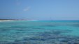 Corals Water