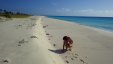 Collecting Shells