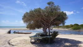 Abrahams Bay Dock