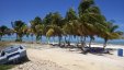 Abrahams Bay Dock Palms