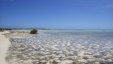 At Low Tide