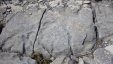 Stones on Sapodilla Hill