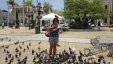 Playing with Pigeons