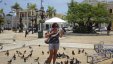 Playing with Pigeons