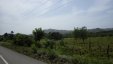 Rural Road View
