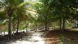 Path to Beach