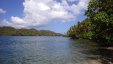 Samana Bay Palm Trees