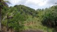 Tropical Mountains