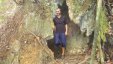 At the Cave