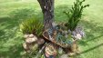 Garden Cactuses