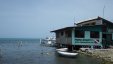 Local Diving Shop