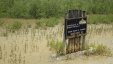 Boqueron Mangrove Park