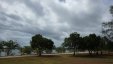 Boqueron Beach Trees