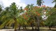 Boqueron Beach Park