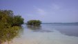 Mangroved Island
