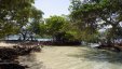 Mangroved Bay
