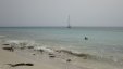 Anchored Yacht and Pelican
