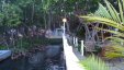 Snack Bar in Mangroves