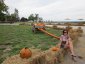 Pumpkin Season Country Ride