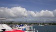 Docked Boats at the Marina