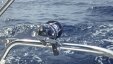 My New Shiny Fishing Reel