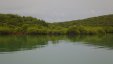 Mangroves of Ensenada Honda