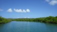 Ensenada Honda Mangrove River