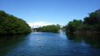 Canal in Mangroves