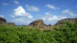 Rocks over Bush