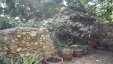 In Botanical Garden
