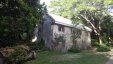 Old House Along Jungle Road