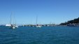 Boats at Road Town Harbour