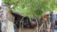 Metal Art Shop at Trelis Bay Beach