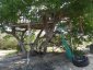 Tree House at Trelis Bay Beach