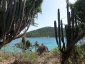 View Through Cactuses from Diamond Cay Edge