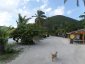 Quiet Streets of Jost Van Dyke